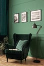 Real photo of an elegant, green reading corner with a metal lamp and green, suede armchair. Living room interior