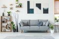 Real photo of an elegant living room interior with a comfy couch Royalty Free Stock Photo