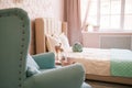 Real photo of a feminine bedroom interior with a comfy armchair, bed Royalty Free Stock Photo