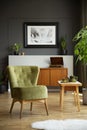 Real photo of green chair standing in grey living room interior Royalty Free Stock Photo