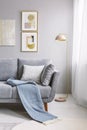 Real photo of a grey couch with pillows and blanket standing next to a gold lamp and a wall with paintings in living room interior