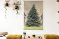 Real photo of a japanese style living room interior with tree gr Royalty Free Stock Photo