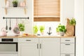 Real photo of a kitchen cupboards, countertop with plants, food, and shopping bag, and window with blinds in a kitchen interior