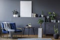 Real photo of a monochromatic living room interior with a blue a Royalty Free Stock Photo