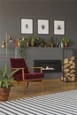 Real photo of a red armchair standing on a wooden floor with striped rug and in front of a shelf with plants, lamp, fireplace and Royalty Free Stock Photo