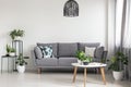 Real photo of a simple living room interior with a grey sofa, plants and coffee table Royalty Free Stock Photo