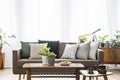 Real photo of a sofa with cushions standing behind the tables in bright, vintage living room interior full of plants Royalty Free Stock Photo