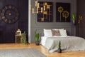 Real photo of a spacious bedroom interior with grey walls, clock, paintings, plants, bed and golden accents Royalty Free Stock Photo