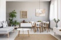 Real photo of a spacious dining and living room interior with wooden furniture and plants on a pedestal Royalty Free Stock Photo