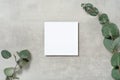 Real photo. square invitation card mockup with a eucalyptus branch