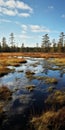 Real Photos Capturing The Vast And Captivating Scenery Of The Bog Royalty Free Stock Photo