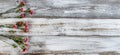 Real pink carnation flowers on left side of rustic wooden boards for mothers day or valentines holiday