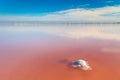 Real pink color salt lake and deep blue sky, minimalistic landscape