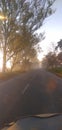 The real road side pic in morning time amazing trees