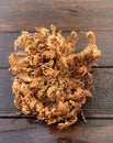 Real rose of Jericho Royalty Free Stock Photo