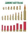 Real set of many types of gun ammunition vector