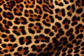 Real skin texture of leopard seamless pattern. Animal. Illustration, Generative AI Royalty Free Stock Photo