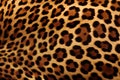 Real skin texture of leopard seamless pattern. Animal. Illustration, Generative AI Royalty Free Stock Photo