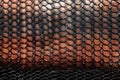 Real skin texture of snake seamless pattern. Reptile. Animals. Illustration, Generative AI