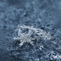 A real snowflake. Beautiful macro shot of frozen snow in winter Royalty Free Stock Photo