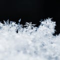 A real snowflake. Beautiful macro shot of frozen snow in winter Royalty Free Stock Photo