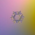 Real snowflake glittering on smooth gradient background Royalty Free Stock Photo