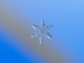 Real snowflake glittering on smooth gradient background Royalty Free Stock Photo