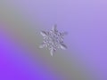 Real snowflake glittering on smooth gradient background Royalty Free Stock Photo