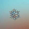 Real snowflake glittering on smooth gradient background Royalty Free Stock Photo