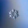 Real snowflake glittering on smooth gradient background Royalty Free Stock Photo