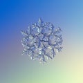Real snowflake glittering on smooth gradient background Royalty Free Stock Photo