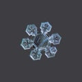 Real snowflake isolated on uniform cyan background