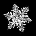 Real snowflake isolated on white background