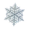 Real snowflake isolated on white background