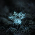 Real snowflakes glowing on dark textured background Royalty Free Stock Photo