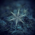 Real snowflakes glowing on dark textured background Royalty Free Stock Photo