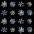 Real snowflakes isolated on black background