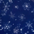 Real Snowflakes Isolated on Glass Plate