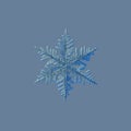 Real snowflakes isolated on uniform blue background