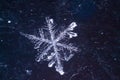 Beautiful unique snowflake of frozen snow.