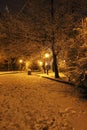 Real snowing winter. Ukrain- Lviv city Royalty Free Stock Photo