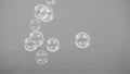 Real soap bubbles floating and moving on studio background