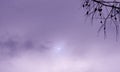 Real Solar Eclipse violet photo sky with branch Royalty Free Stock Photo