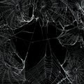 Real spider webs hanging together to make a frame. Halloween background