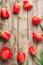 Real spring red tulips on a rustic wooden background. Spring flowers for Mother`s Day. Top view Royalty Free Stock Photo