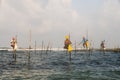 Real Stilt fisherman in Galle, Sri Lanka