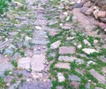 Real stone wall without cement. stone road with grass. surface, background, texture Royalty Free Stock Photo