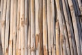 Real Texture of Bamboo wood Royalty Free Stock Photo