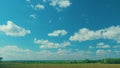 Black Angus In Summer Green Grassy Meadow. Skyline With Fluffy White Clouds In A Blue Sky. Royalty Free Stock Photo