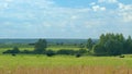 Black Cows In A Grassy Field On A Bright And Sunny Day. Cows On Green Meadow And Blue Sky With Clouds. Royalty Free Stock Photo